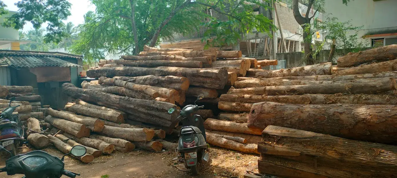 Timber processing